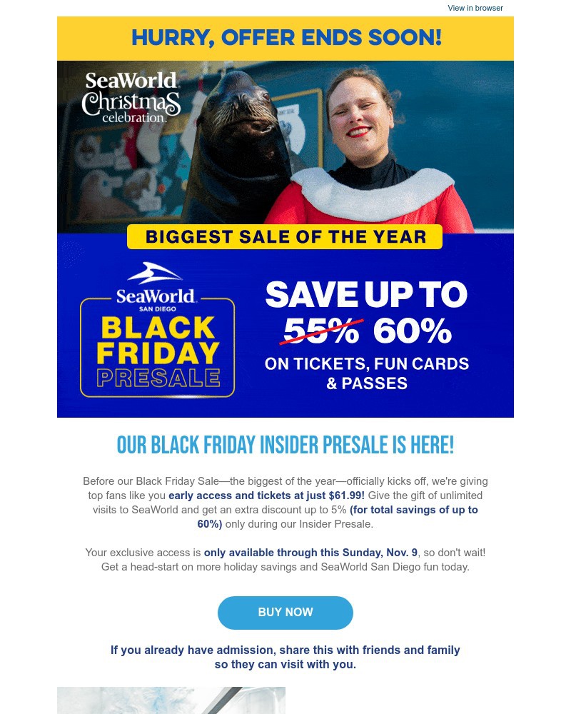 Screenshot of email with subject /media/emails/black-friday-pre-sale-final-days-up-to-60-off-1d7cd6-cropped-10ac82b2.jpg