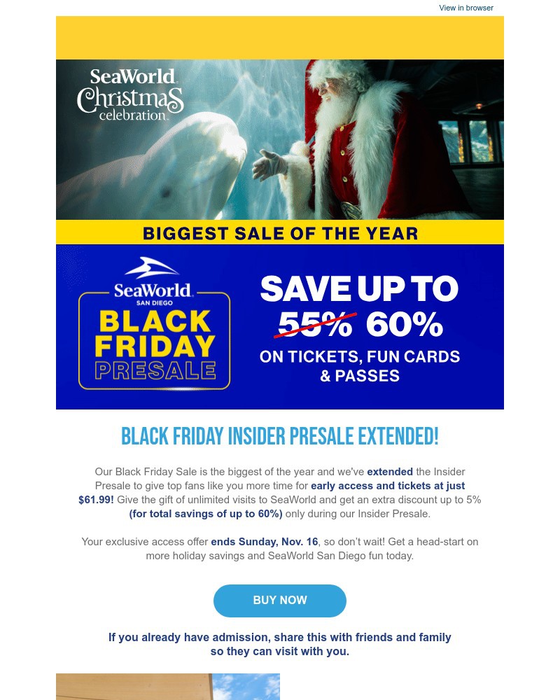 Screenshot of email with subject /media/emails/black-friday-presale-extended-save-up-to-60-c91565-cropped-deea5d1b.jpg