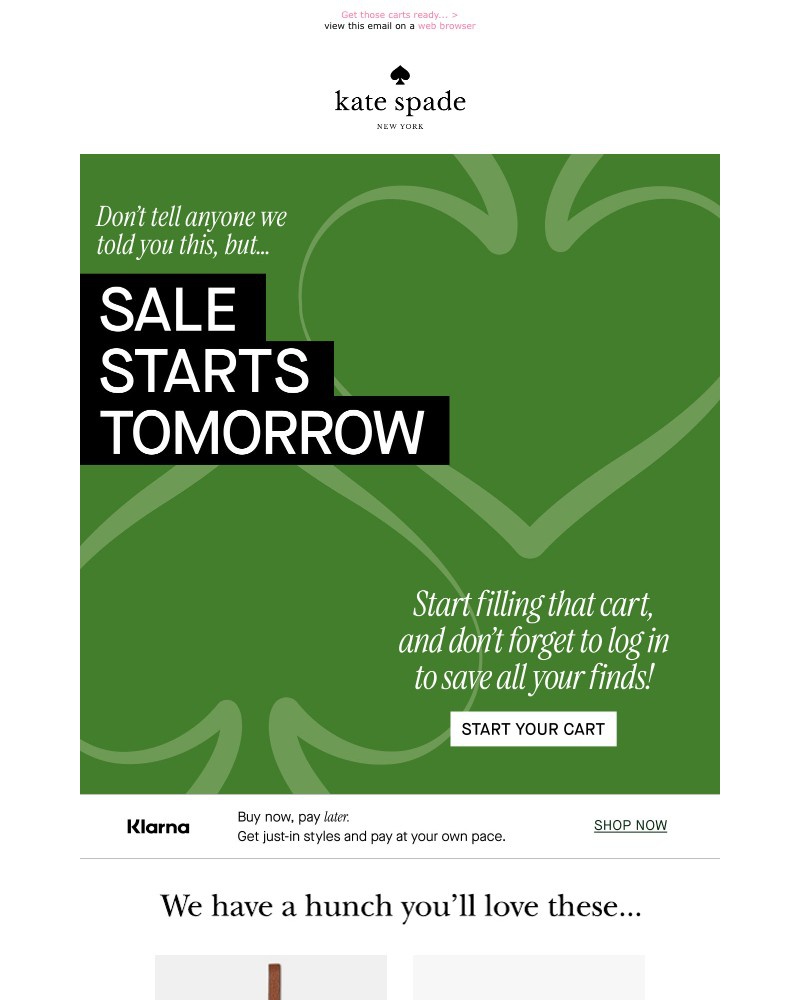 Screenshot of email with subject /media/emails/black-friday-preview-starts-tomorrow-fe96a0-cropped-f957294a.jpg