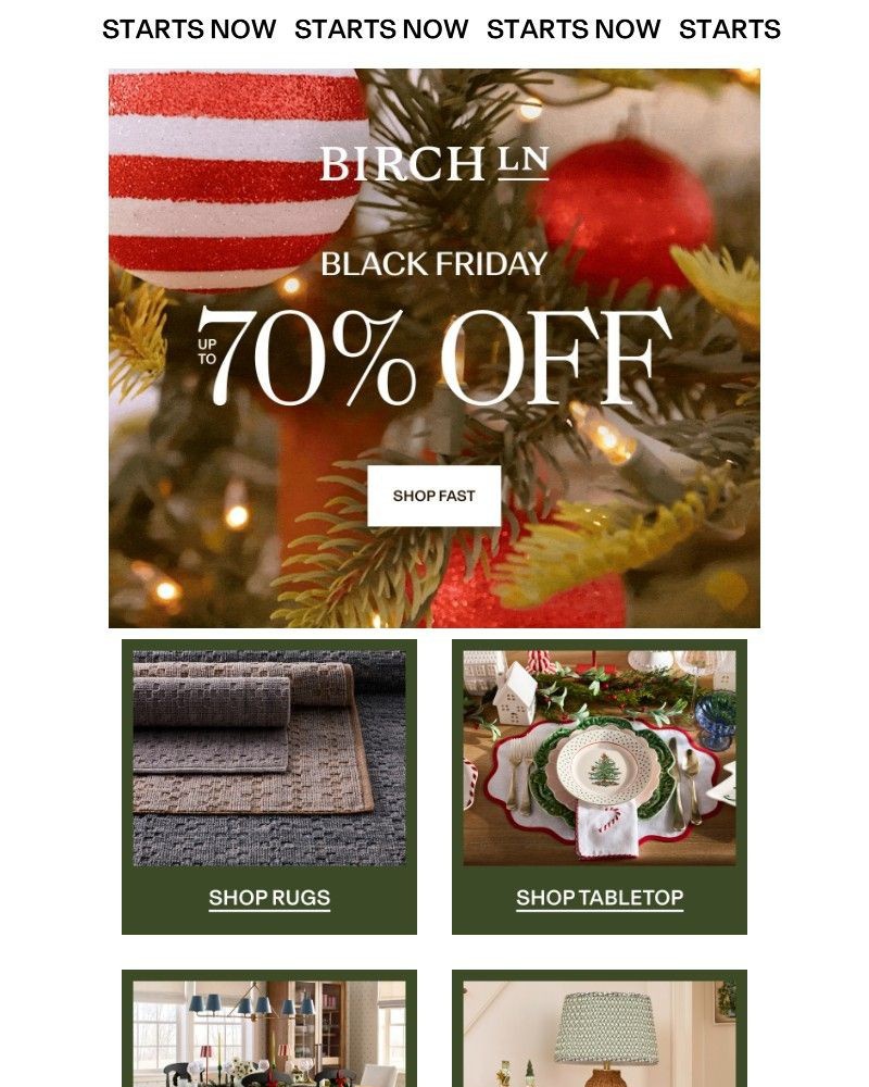 Screenshot of email with subject /media/emails/black-friday-rug-savings-are-going-fast-cbac3c-cropped-c90faaa7.jpg