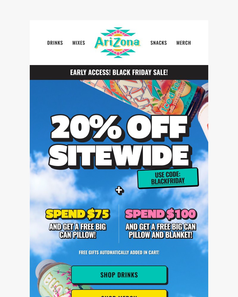 Screenshot of email with subject /media/emails/black-friday-sale-9132f0-cropped-9ba351b2.jpg