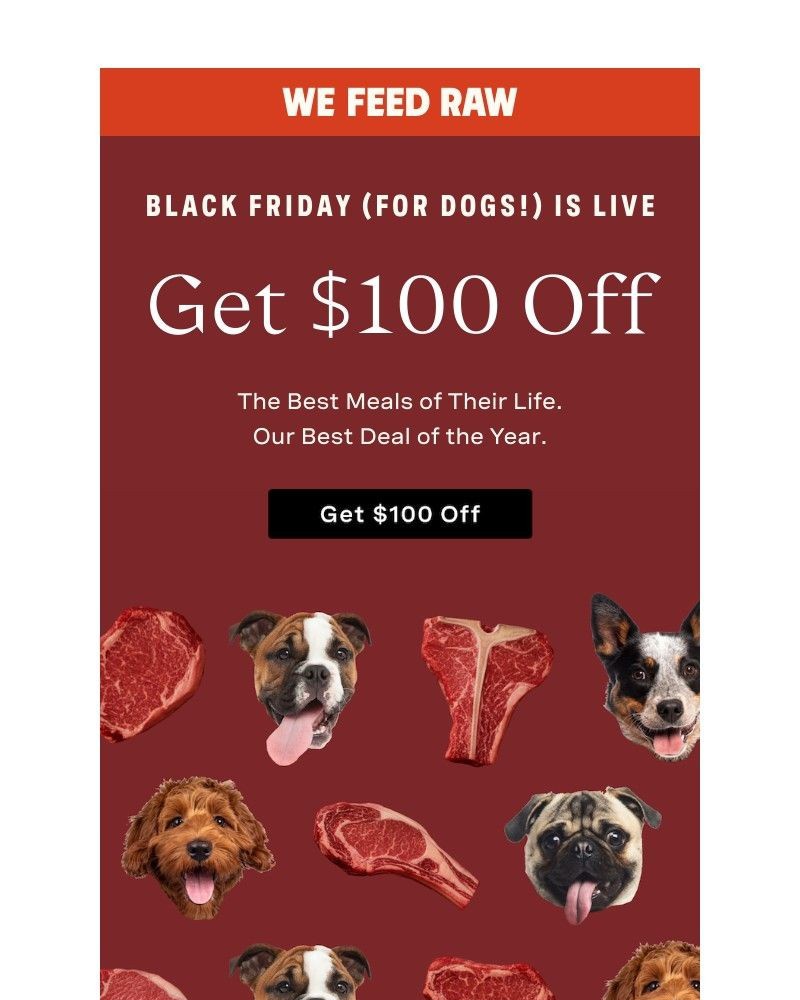 Screenshot of email with subject /media/emails/black-friday-sale-is-live-e31367-cropped-dd0d706b.jpg