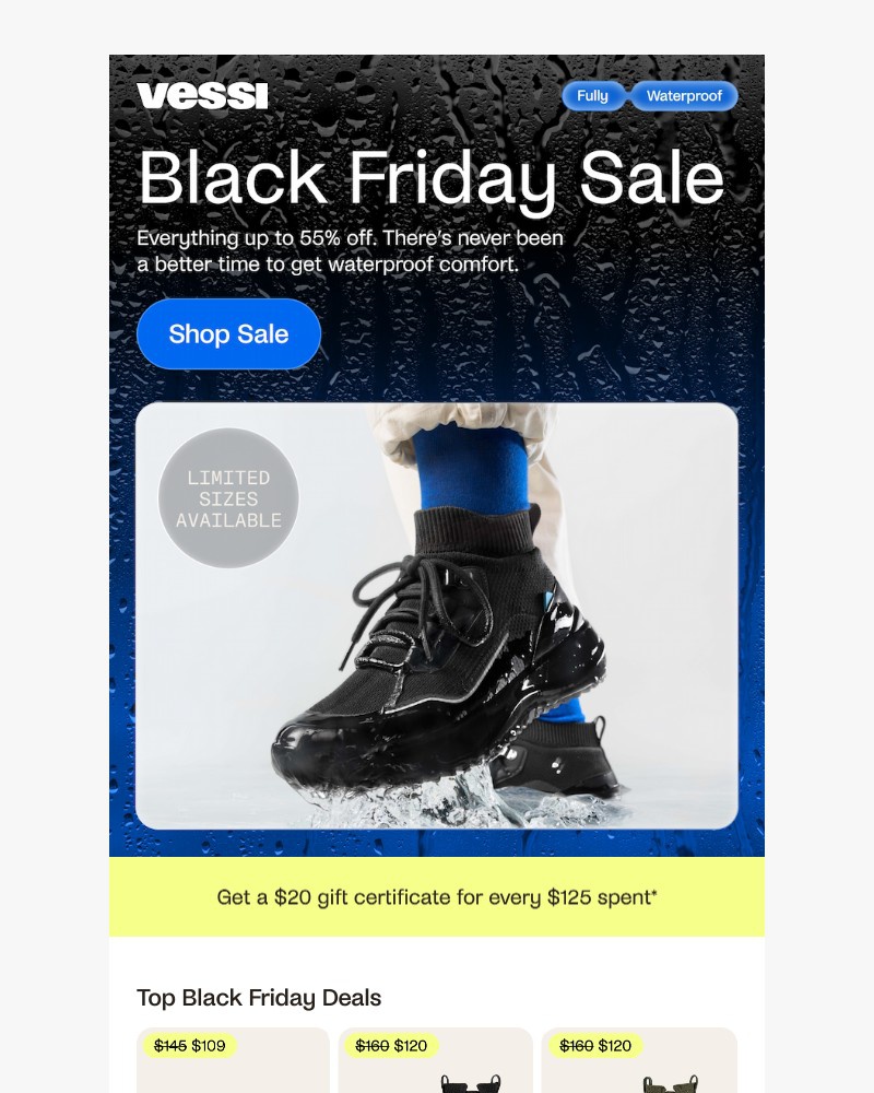 Screenshot of email with subject /media/emails/black-friday-sale-on-now-8f0654-cropped-59081071.jpg