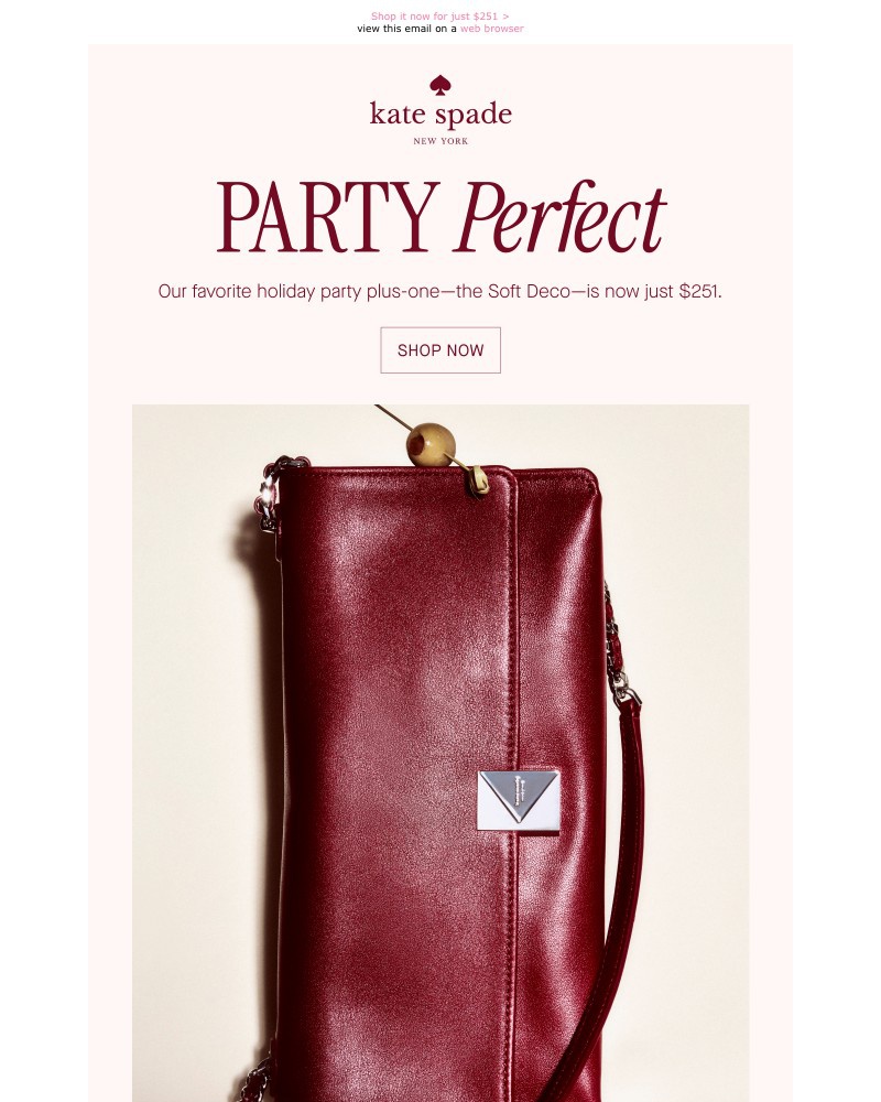 Screenshot of email with subject /media/emails/black-friday-sale-our-soft-deco-bag-63c585-cropped-7f2bbb36.jpg