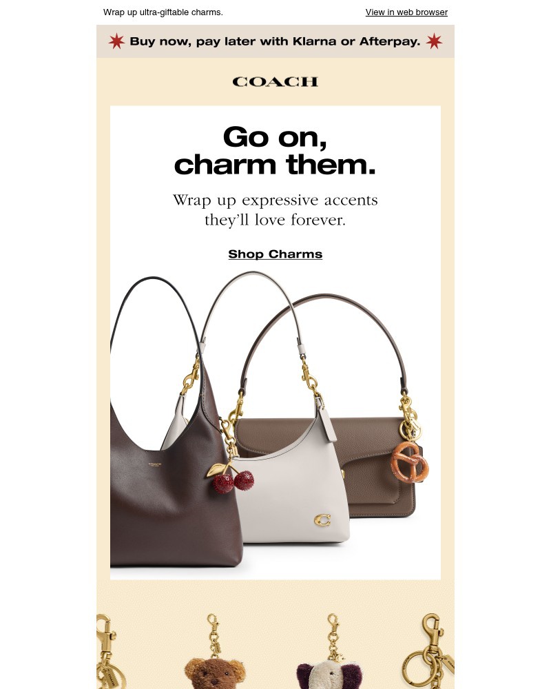 Screenshot of email with subject /media/emails/black-friday-sale-up-to-40-off-b083f5-cropped-35a1d438.jpg