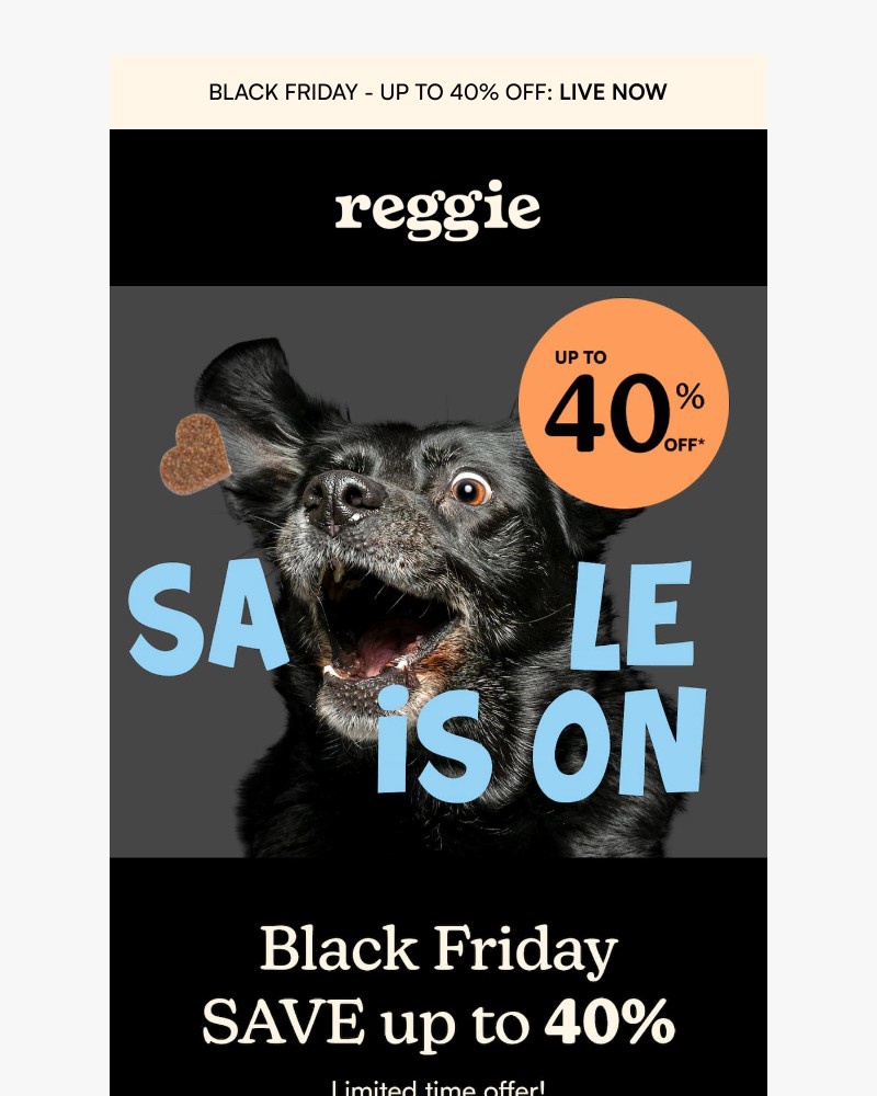 Screenshot of email sent to a reggie Newsletter subscriber