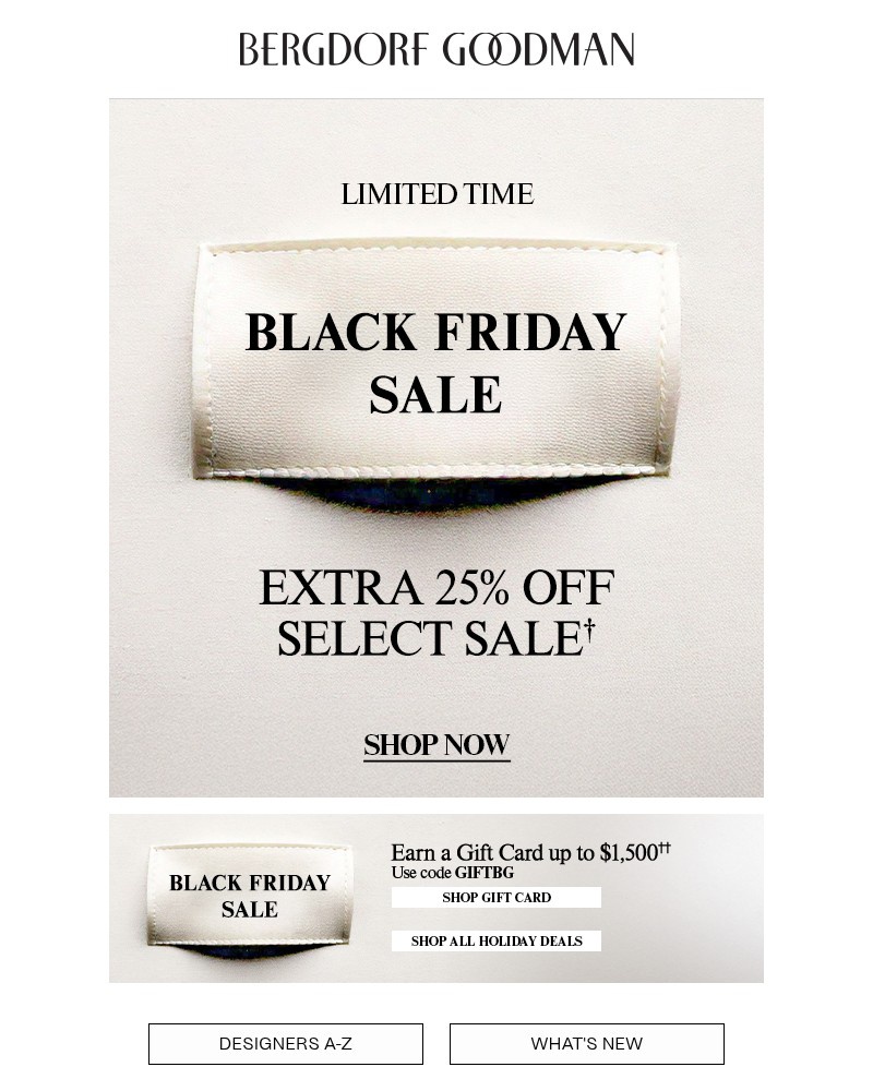 Screenshot of email with subject /media/emails/black-friday-savings-ending-soon-be01ad-cropped-6ca94dc7.jpg