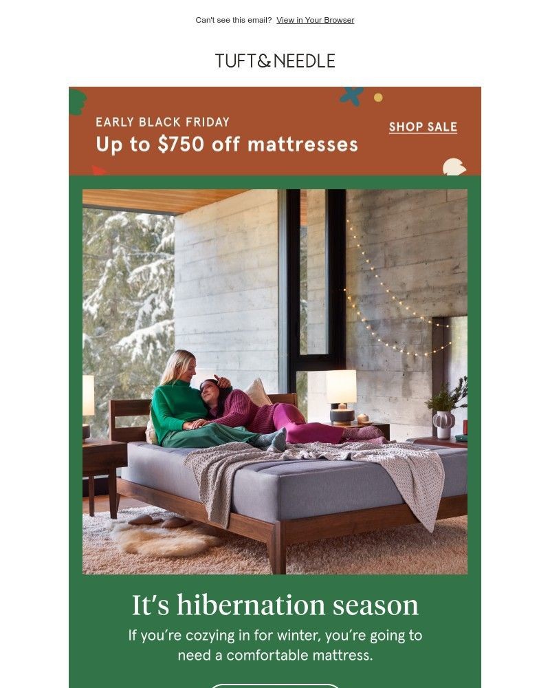 Screenshot of email with subject /media/emails/black-friday-savings-meets-cozy-season-479ae8-cropped-3036a64b.jpg