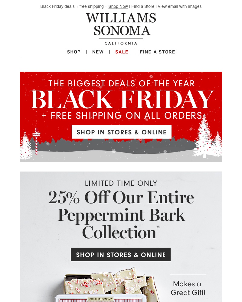 Screenshot of email with subject /media/emails/black-friday-shop-save-ship-for-free-all-weekend-cropped-cc1f07ea.jpg