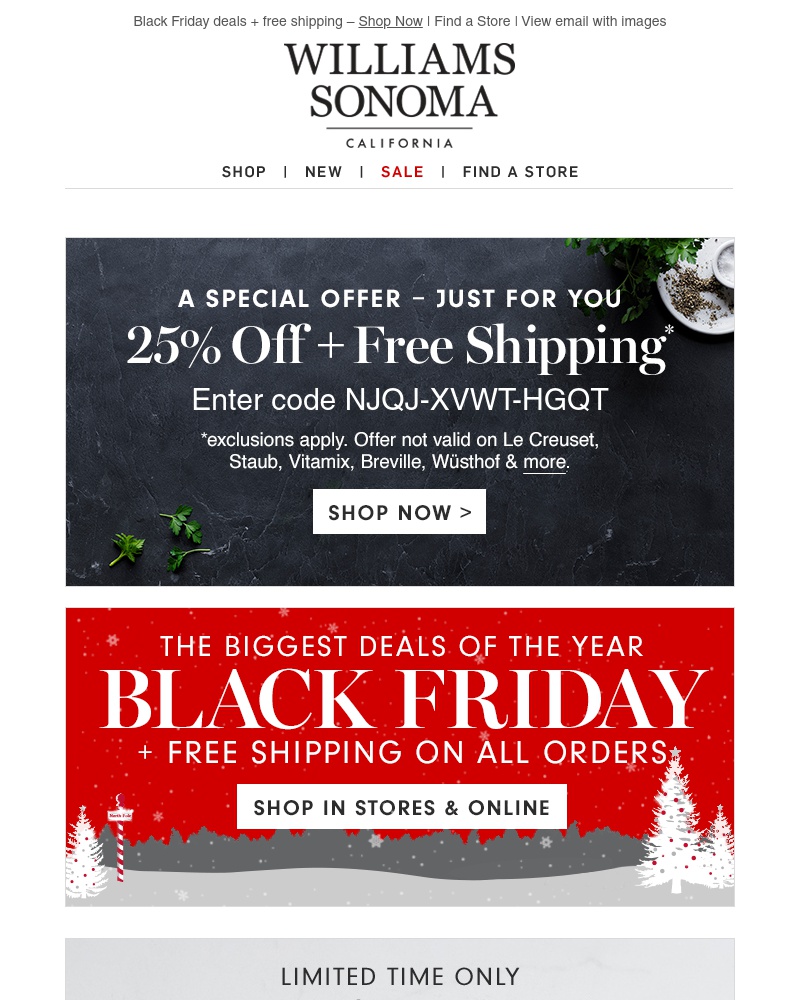 Screenshot of email with subject /media/emails/black-friday-shop-save-ship-for-free-all-weekend-your-code-for-25-off-inside-crop_h8DjKSY.jpg