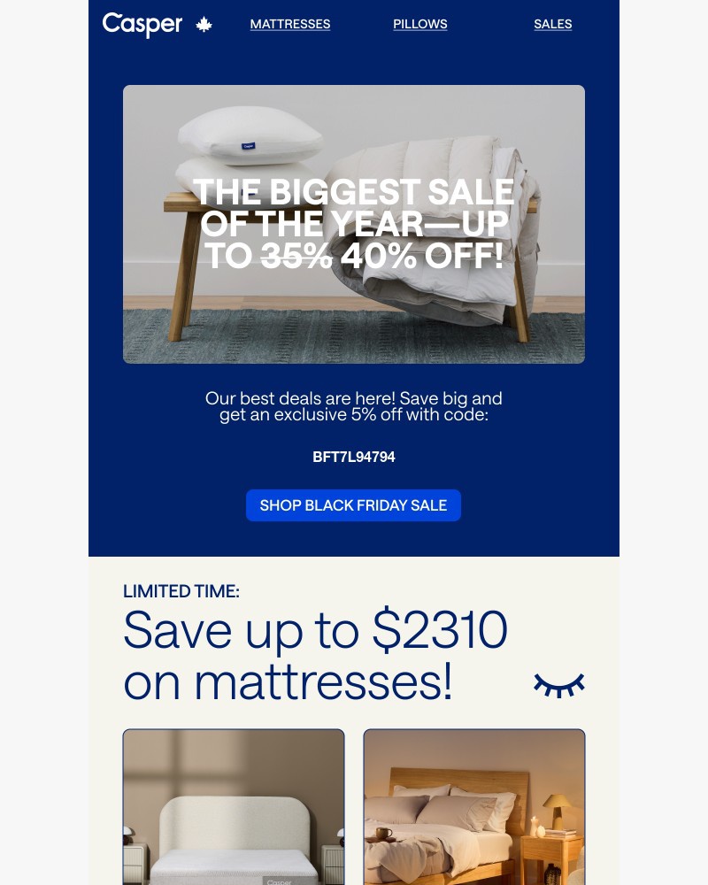 Screenshot of email with subject /media/emails/black-friday-sitewide-sale-04731e-cropped-b2022bc1.jpg