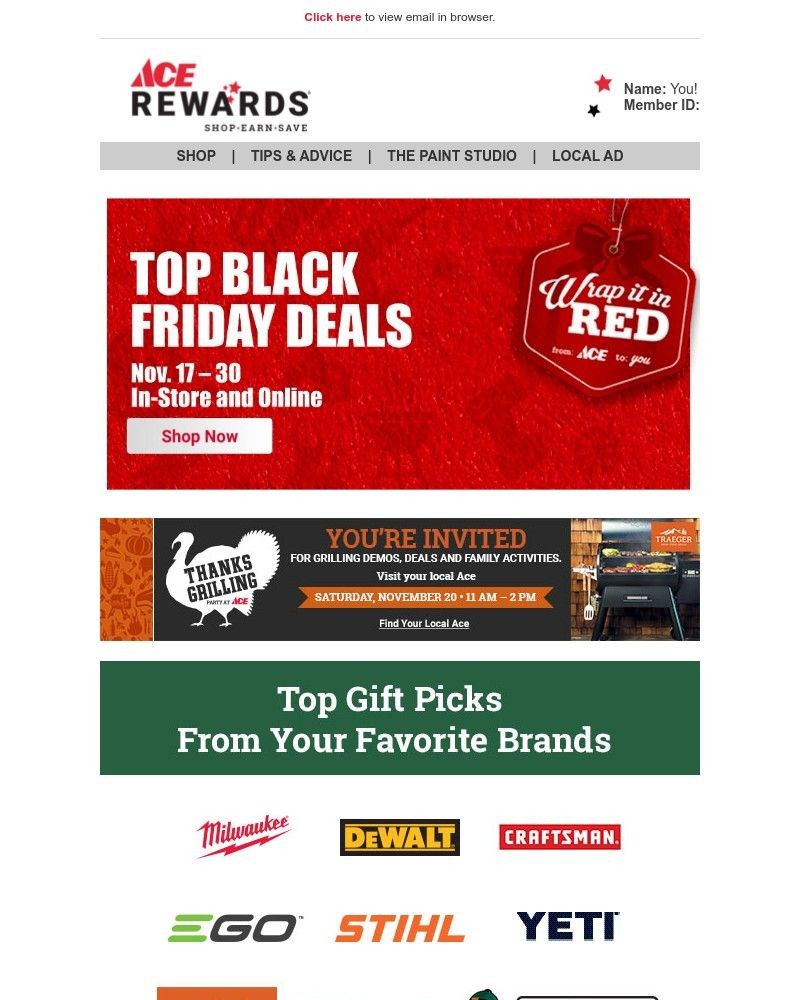 Screenshot of email with subject /media/emails/black-friday-starts-now-39ded2-cropped-0af2bccf.jpg