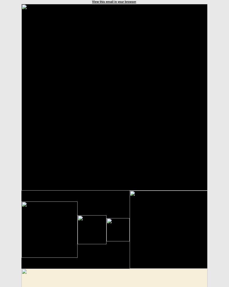 Screenshot of email with subject /media/emails/black-friday-ultimate-sale-top-home-essentials-tech-picks-6d4590-cropped-98abb1fd.jpg