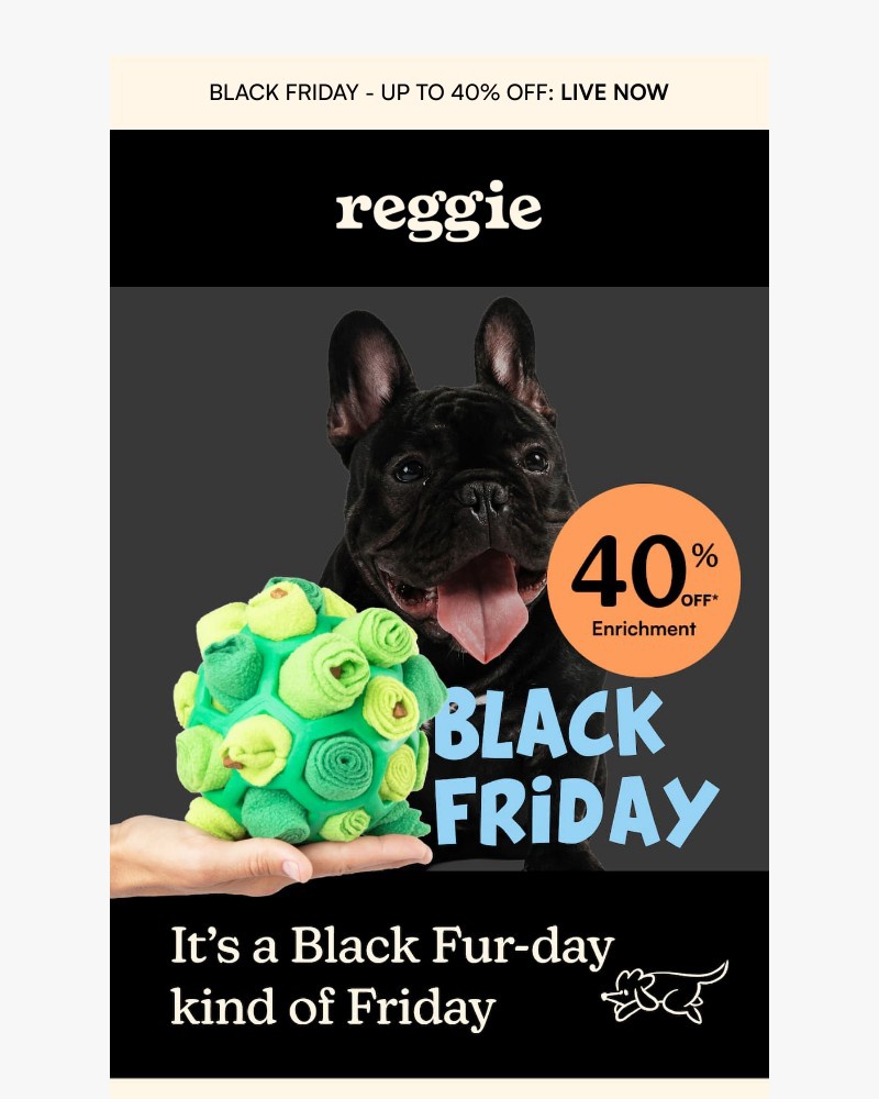 Screenshot of email with subject /media/emails/black-fur-day-big-savings-up-to-40-off-bb4409-cropped-e13bd10c.jpg