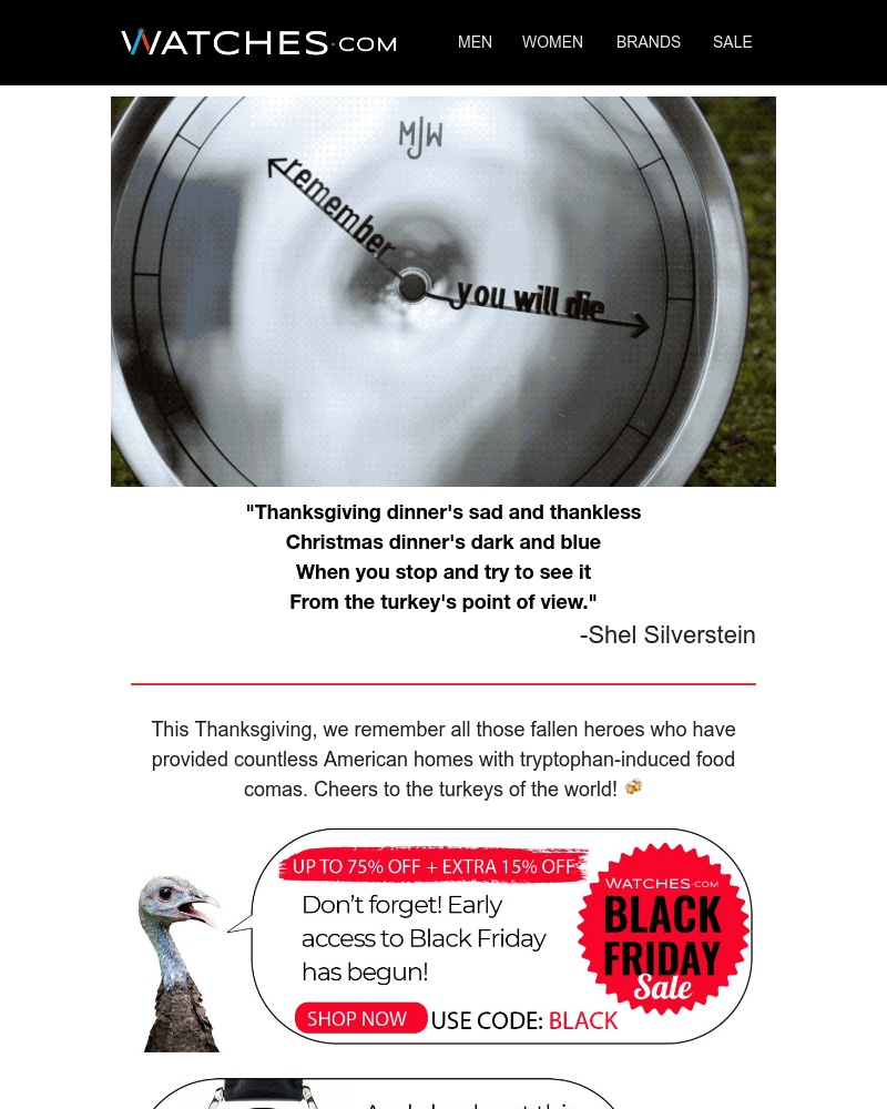 Screenshot of email with subject /media/emails/blackthursday-cropped-b0973f77.jpg