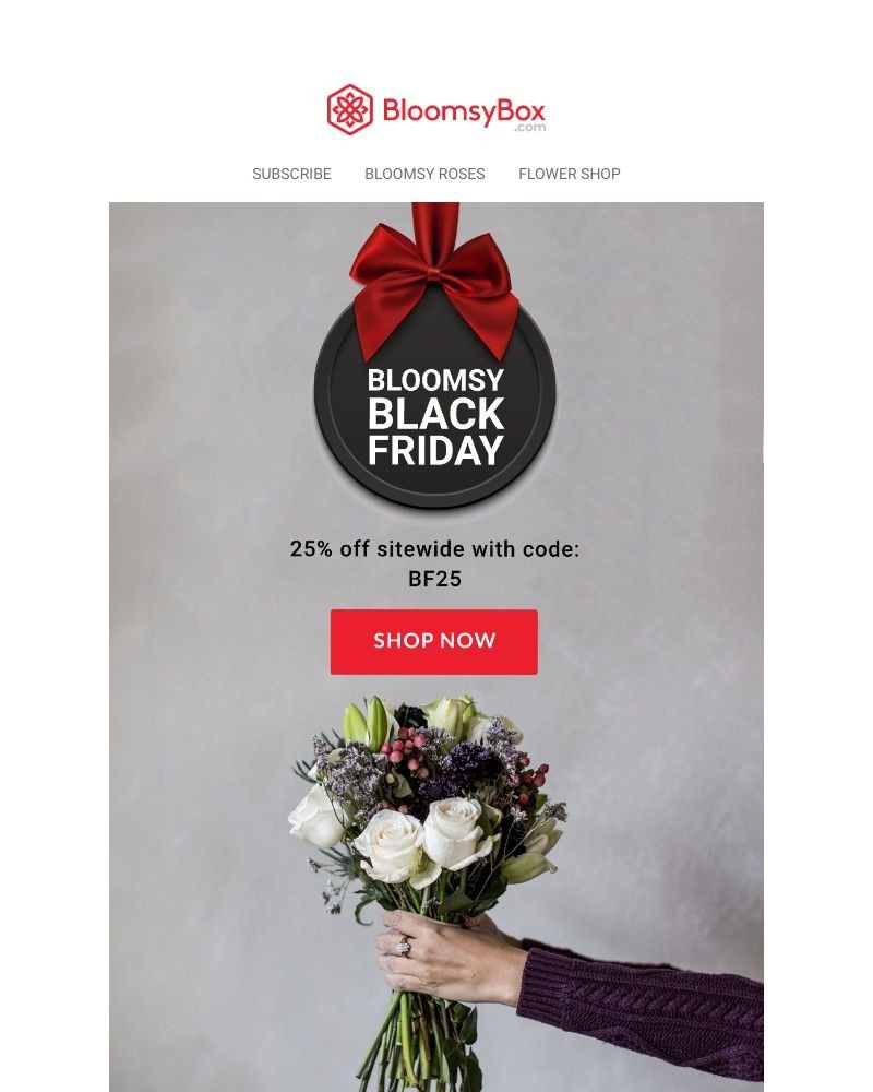 Screenshot of email with subject /media/emails/bloom-black-friday-has-arrived-ce281e-cropped-f9541409.jpg