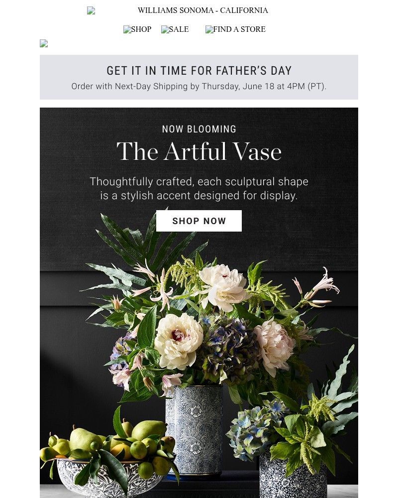 Screenshot of email with subject /media/emails/bloom-worthy-vases-youll-love-7cfc9c-cropped-87c25d77.jpg