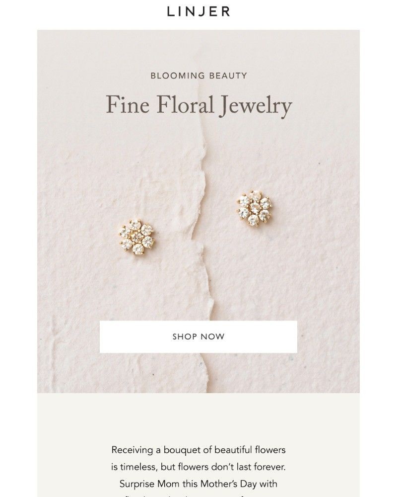 Screenshot of email with subject /media/emails/blooming-beauty-cecfc0-cropped-621c2872.jpg