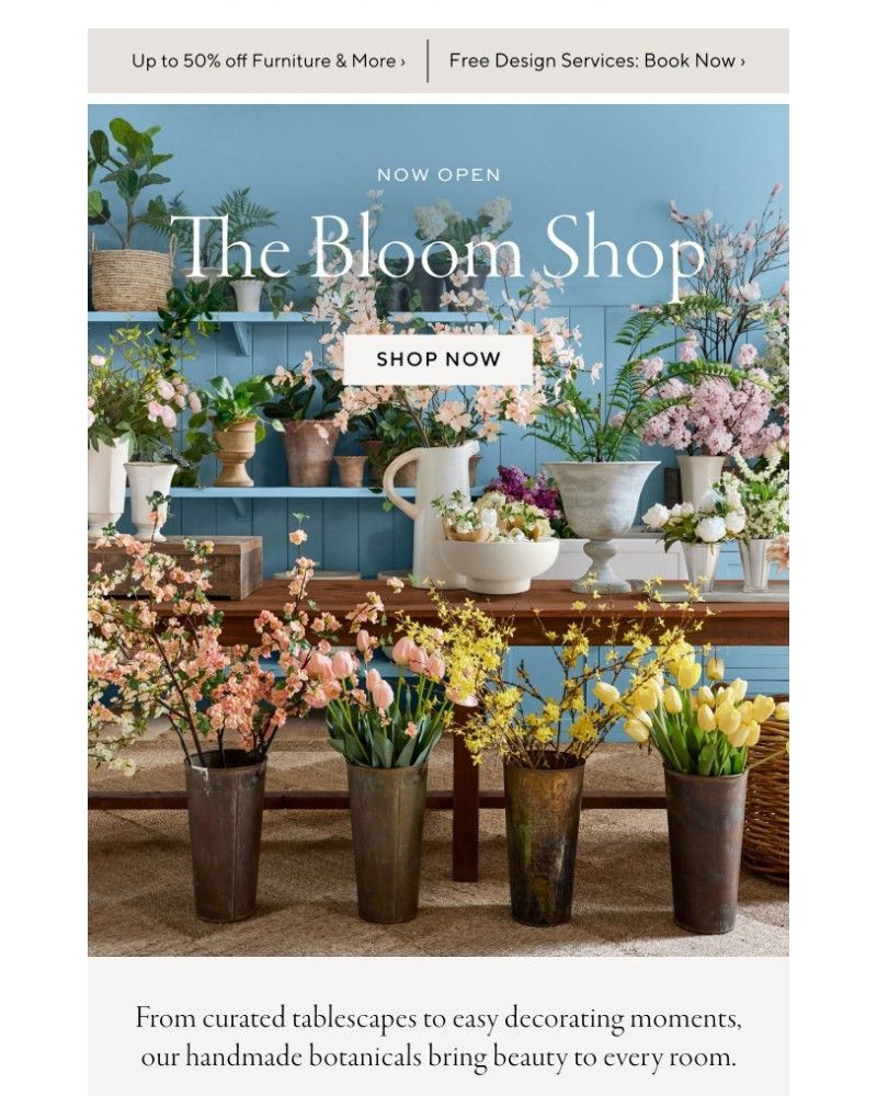 Screenshot of email with subject /media/emails/blooms-for-easy-spring-decorating-7ddfa3-cropped-6ae23c9e.jpg