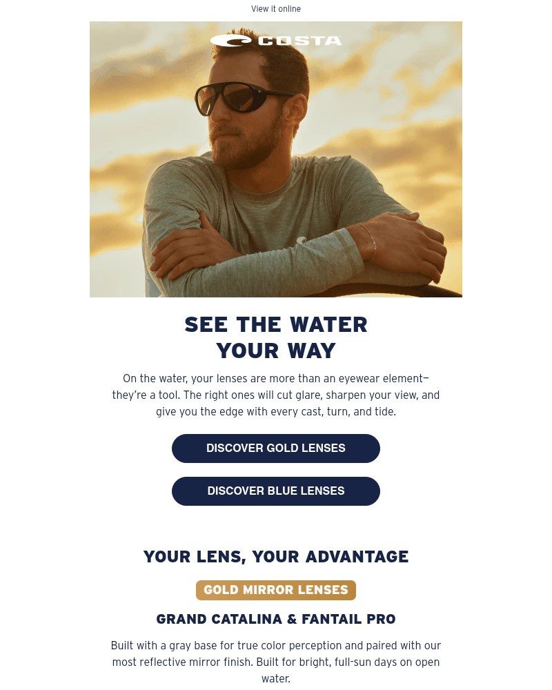 Screenshot of email with subject /media/emails/blue-or-gold-b794ae-cropped-1a8c2041.jpg