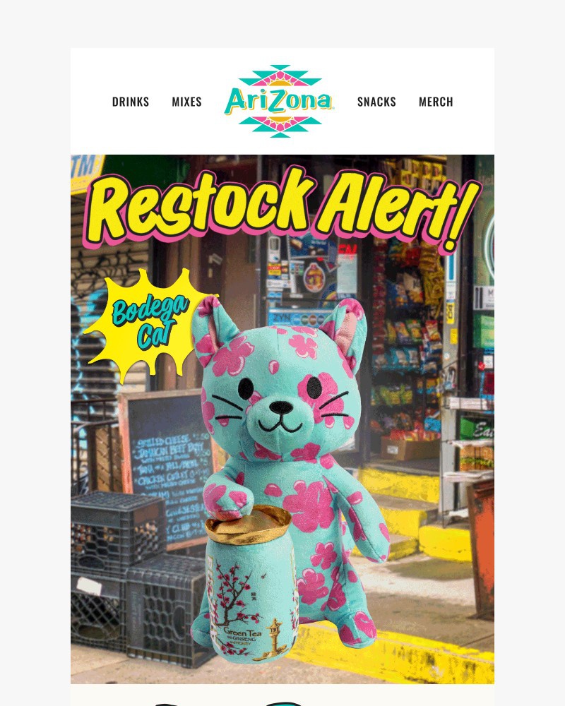Screenshot of email with subject /media/emails/bodega-collection-restock-0db152-cropped-27132cc7.jpg