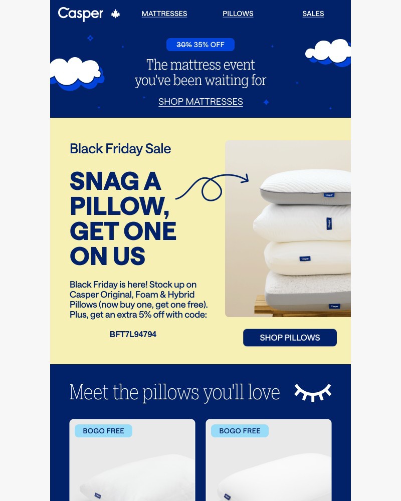 Screenshot of email with subject /media/emails/bogo-alert-free-pillows-inside-515d73-cropped-93474d3b.jpg