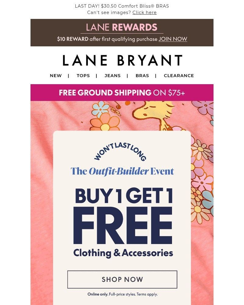 Screenshot of email with subject /media/emails/bogo-crazy-bogo-free-online-only-6d62c1-cropped-3d8fb091.jpg