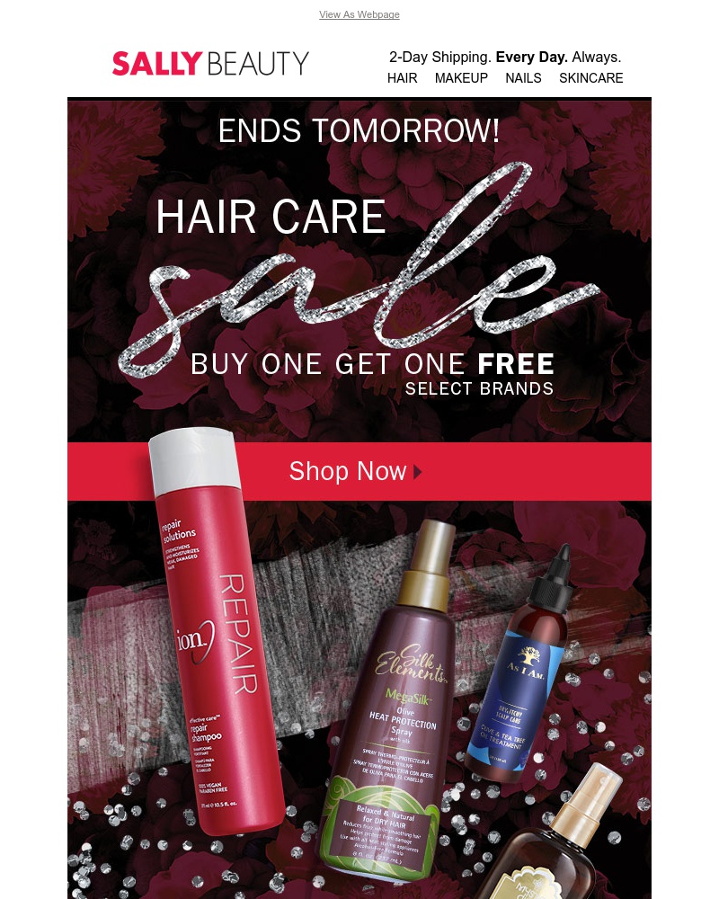 Screenshot of email with subject /media/emails/bogo-free-hair-care-ends-tomorrow-cropped-587c6f7a.jpg