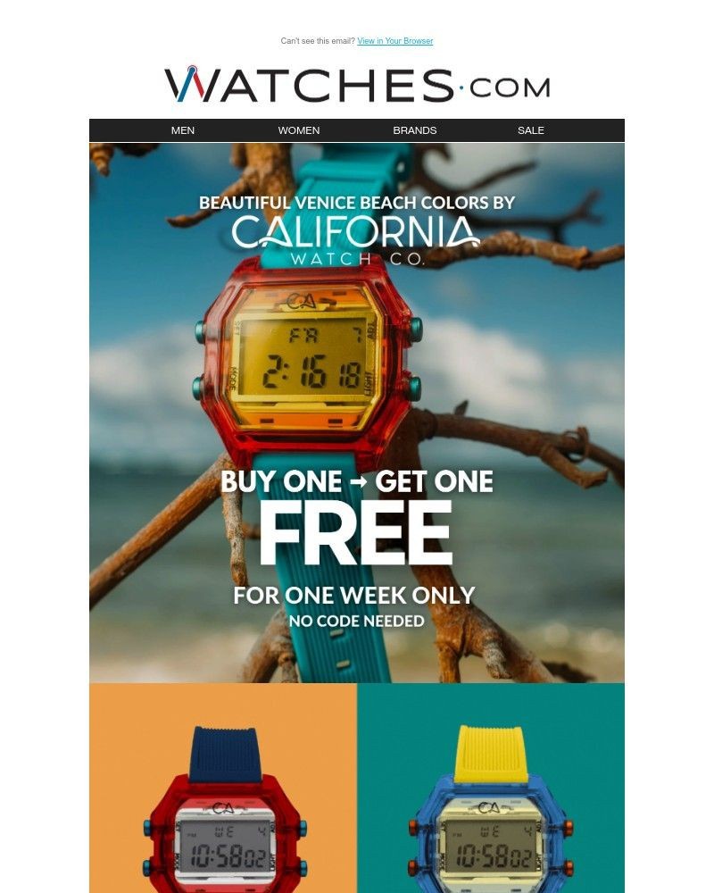 Screenshot of email with subject /media/emails/bogo-free-venice-beach-d939a7-cropped-da165973.jpg