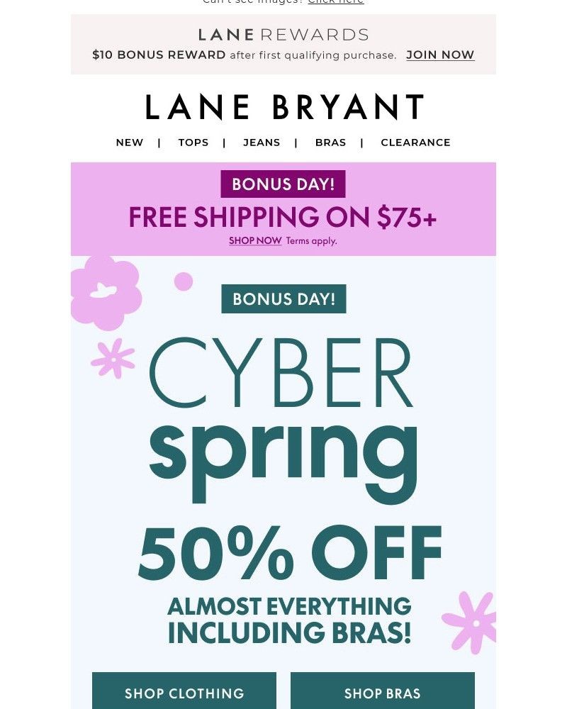 Screenshot of email with subject /media/emails/bonus-day-hooray-50-off-ends-tonight-7f2bf2-cropped-f52e50d7.jpg