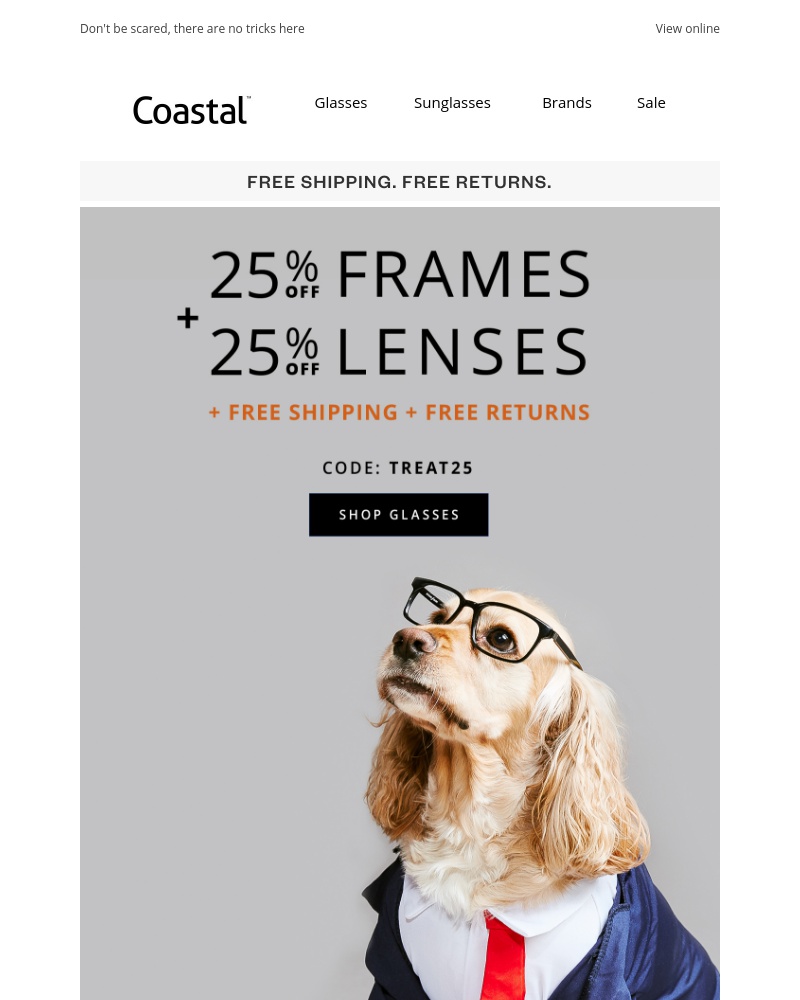 Screenshot of email with subject /media/emails/boo-the-wicked-sitewide-sale-ends-today-cropped-8f130700.jpg