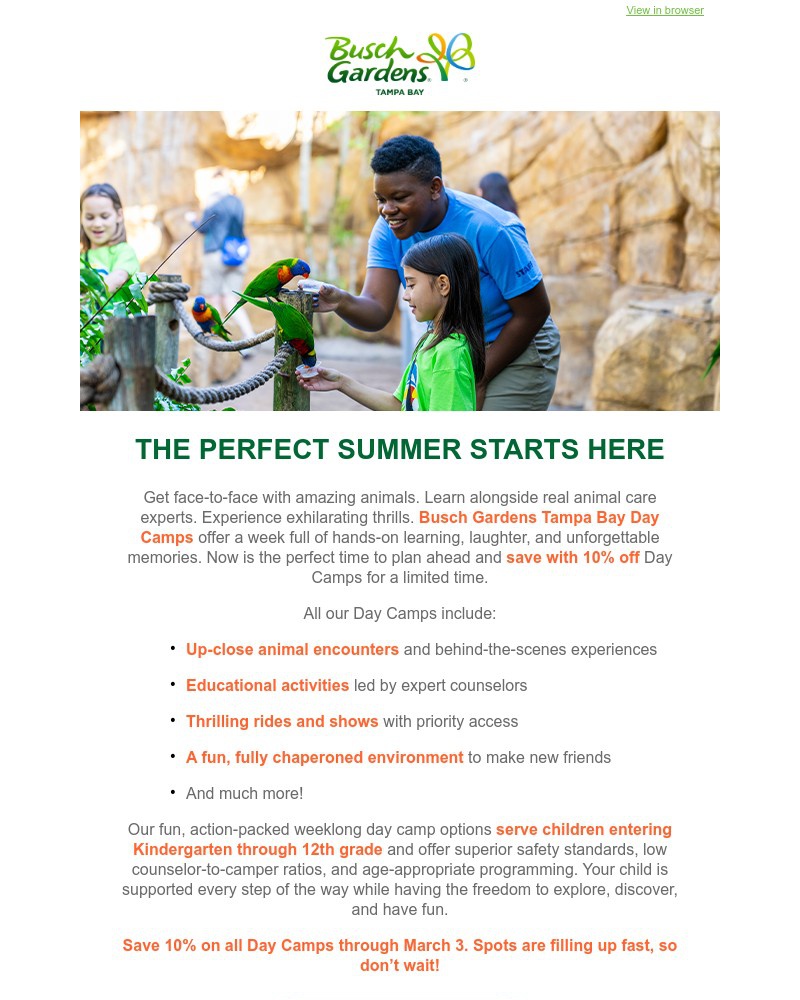 Screenshot of email with subject /media/emails/book-now-and-save-10-on-all-summer-day-camps-8f203c-cropped-a1fd6076.jpg