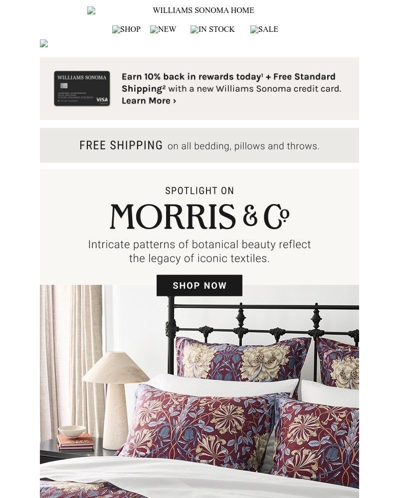 Screenshot of email with subject /media/emails/botanical-beauty-reimagined-shop-the-morris-co-collection-0bb50b-cropped-47a870a1.jpg