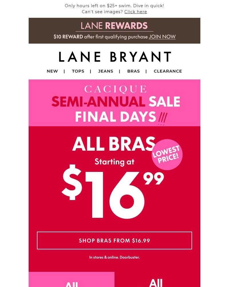 Screenshot of email with subject /media/emails/bras-now-1699-panties-399-how-low-can-we-go-1a5172-cropped-6383d052.jpg