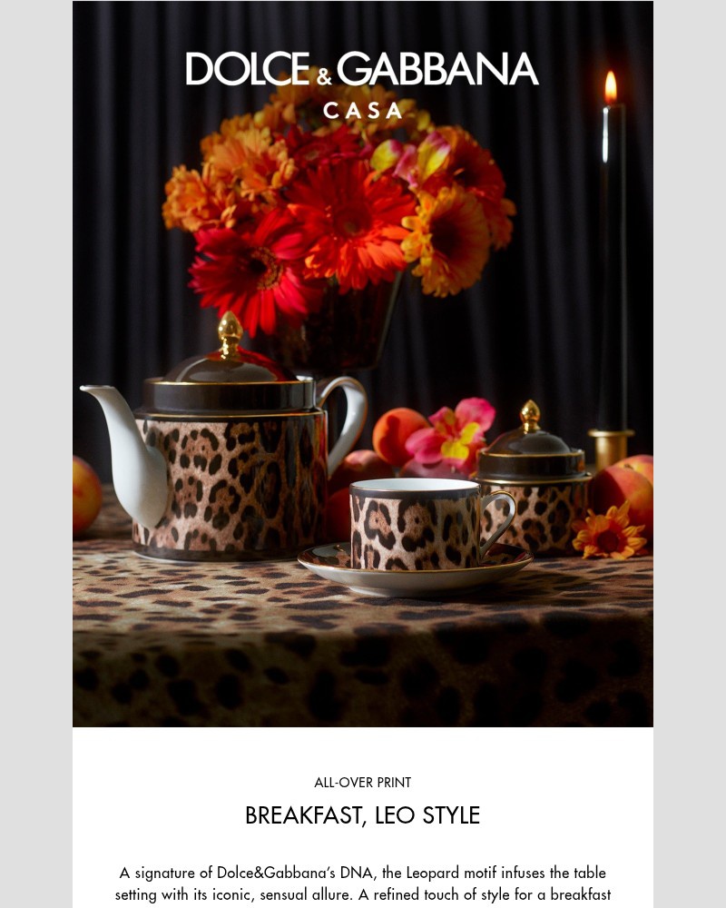 Screenshot of email with subject /media/emails/breakfast-leo-style-fb41e8-cropped-42d49667.jpg