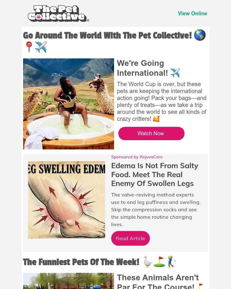Screenshot of email with subject /media/emails/breaking-news-pets-are-taking-over-the-world-15c32c-cropped-7b4a275a.jpg