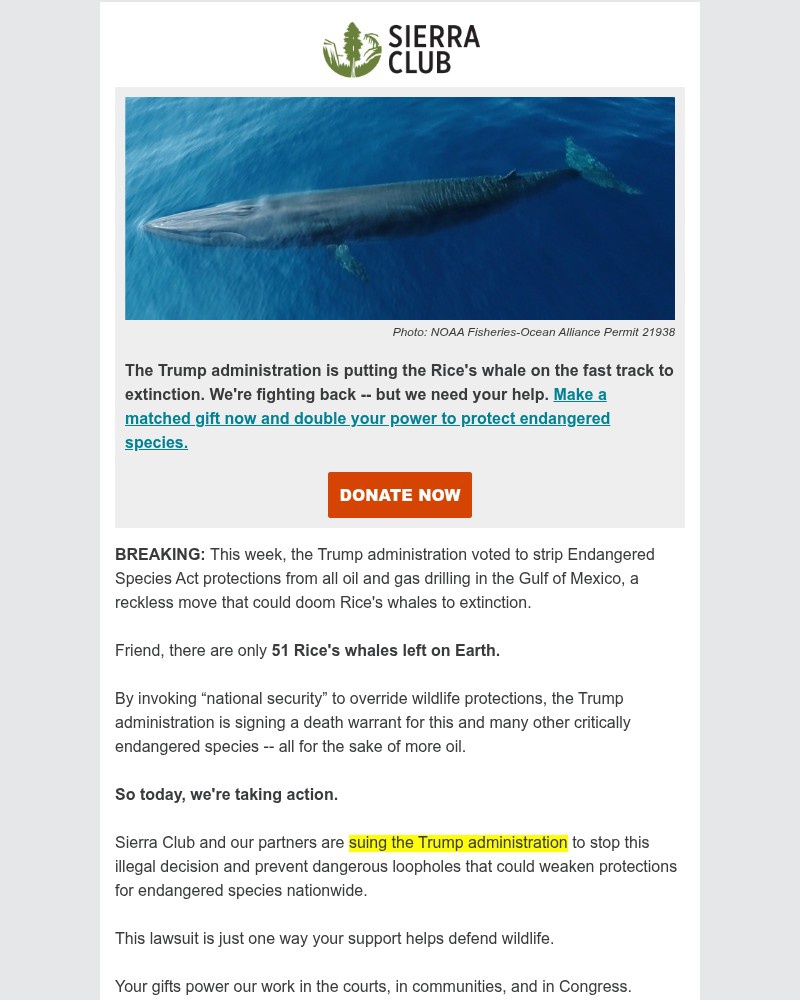 Screenshot of email with subject /media/emails/breaking-species-at-risk-lawsuit-filed-today-cd3b42-cropped-6869d418.jpg