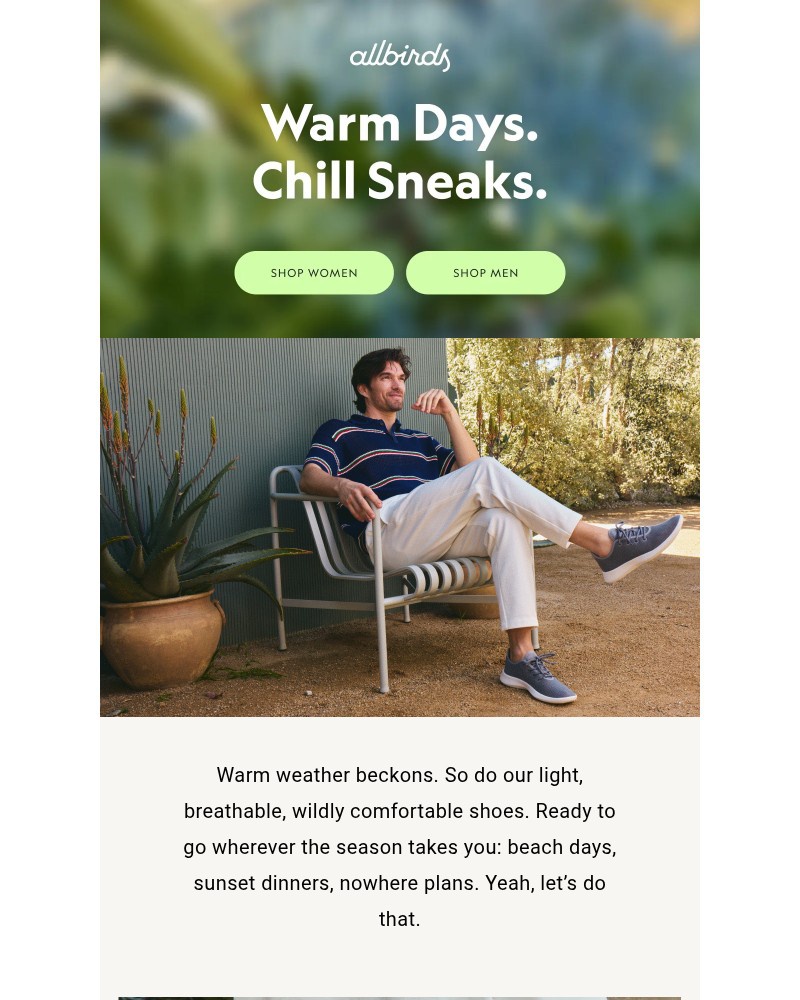 Screenshot of email sent to a Allbirds Newsletter subscriber