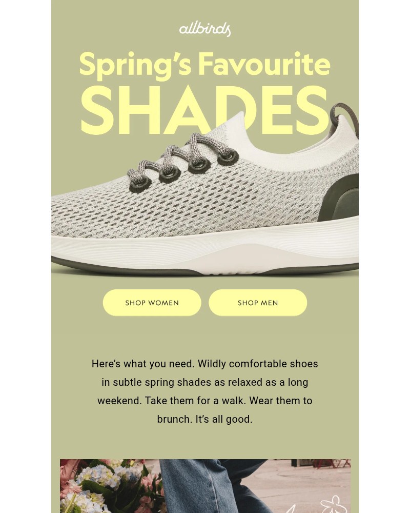 Screenshot of email with subject /media/emails/breezy-shoes-in-spring-shades-8c2cb3-cropped-f2ecbbbb.jpg