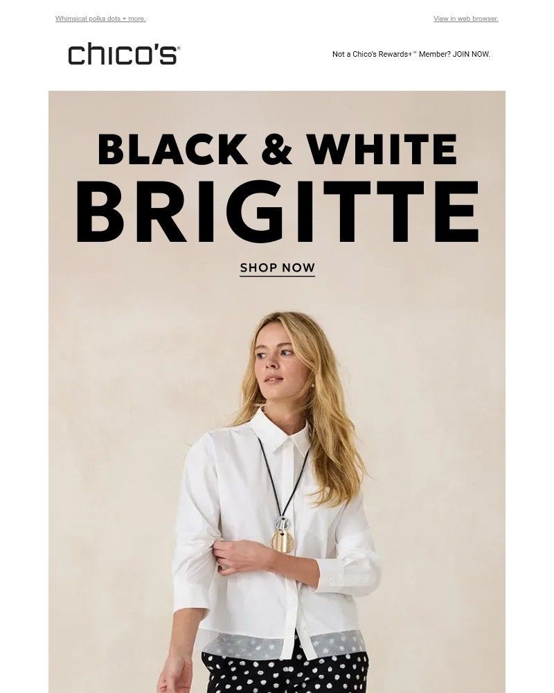 Screenshot of email with subject /media/emails/brigitte-in-bw-5228a2-cropped-41095281.jpg