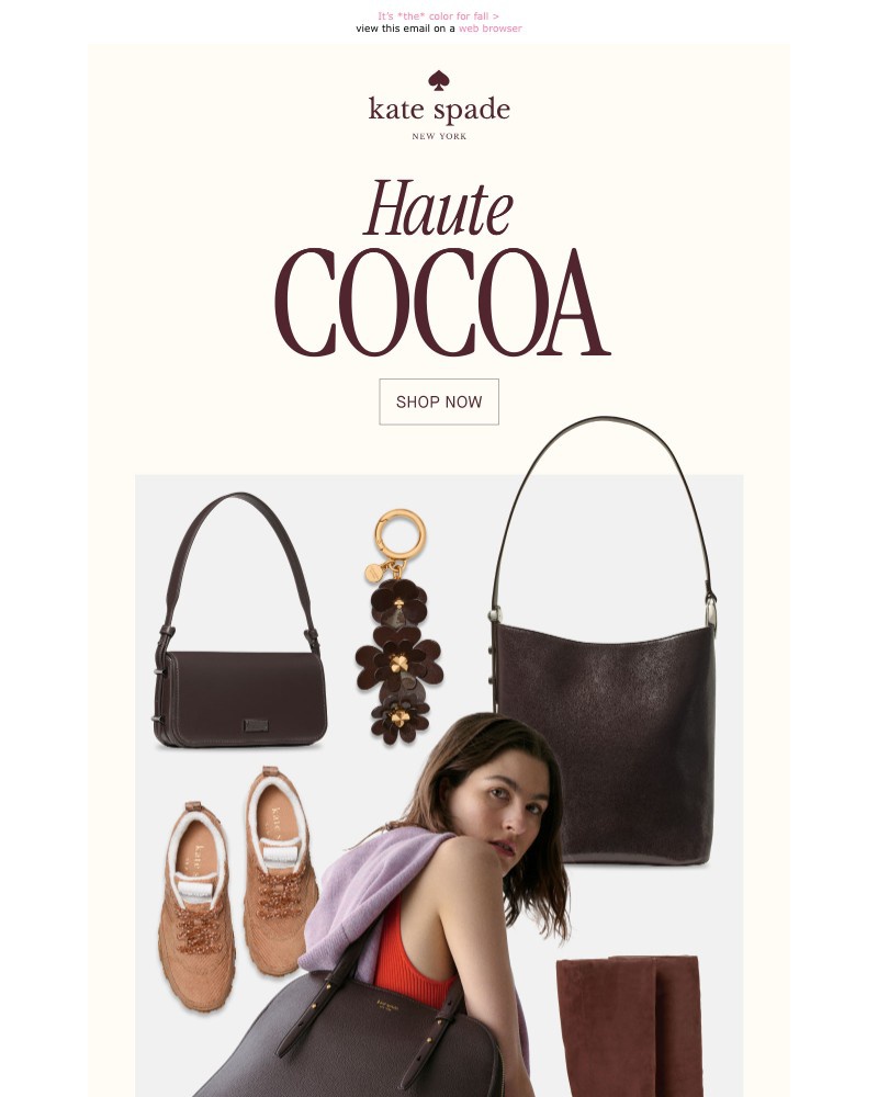 Screenshot of email with subject /media/emails/brilliant-browns-a3e92d-cropped-135c67d9.jpg