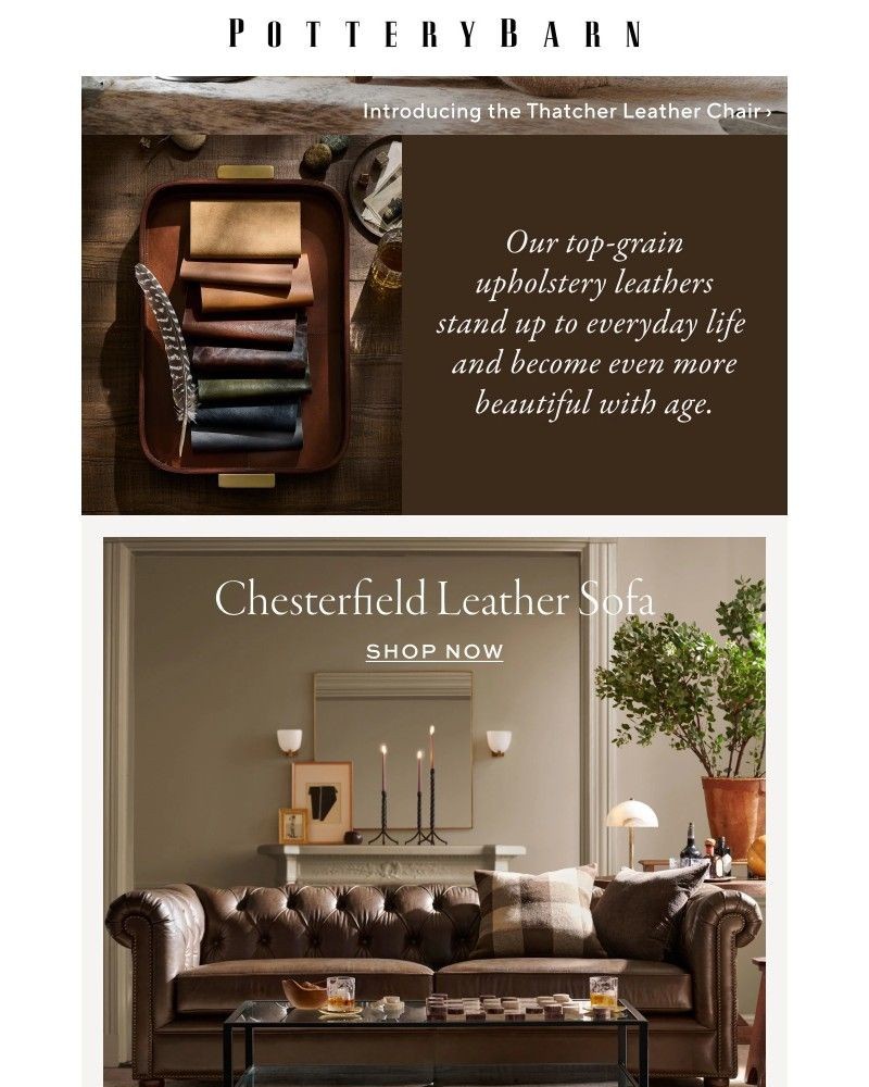 Screenshot of email with subject /media/emails/bring-home-top-grain-leather-seating-3669d0-cropped-d68bcdbb.jpg