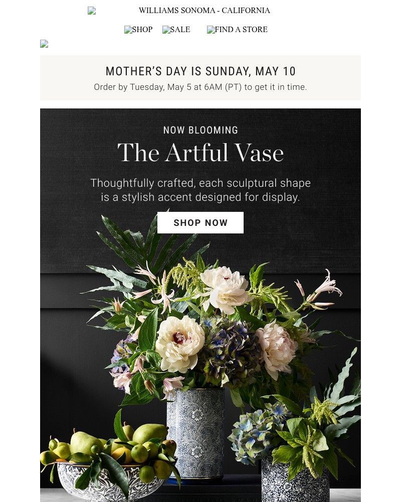 Screenshot of email with subject /media/emails/bring-your-blooms-to-life-65d91c-cropped-97dd9a62.jpg