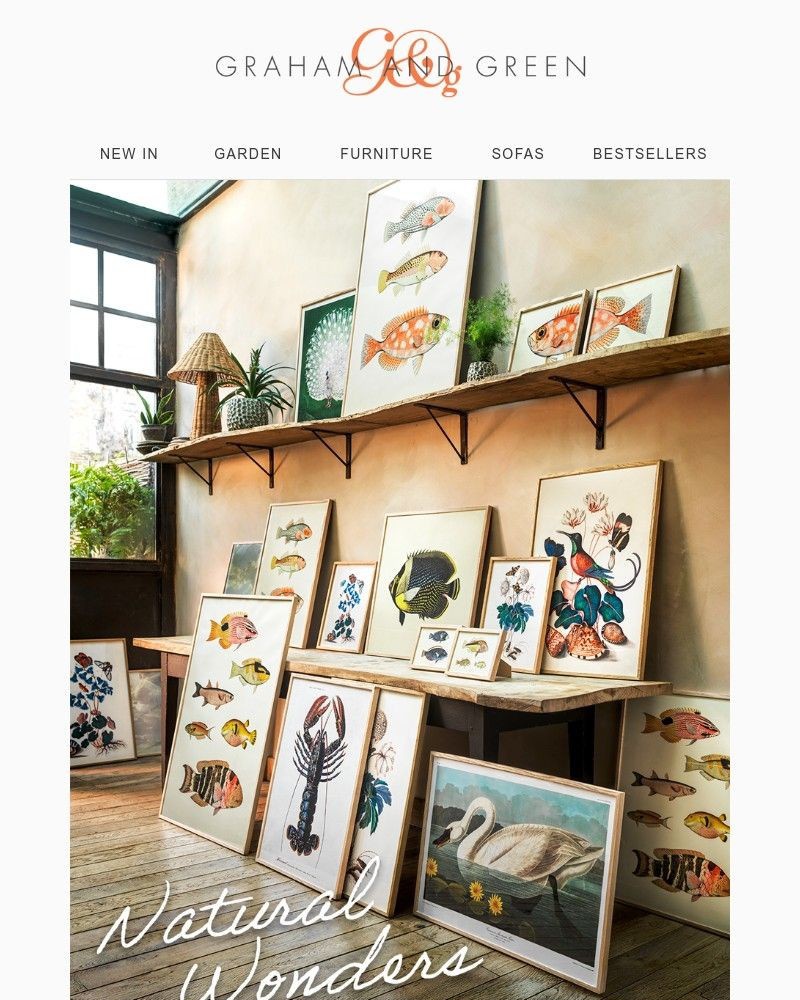 Screenshot of email with subject /media/emails/bring-your-walls-to-life-f9a373-cropped-2c20c4d5.jpg