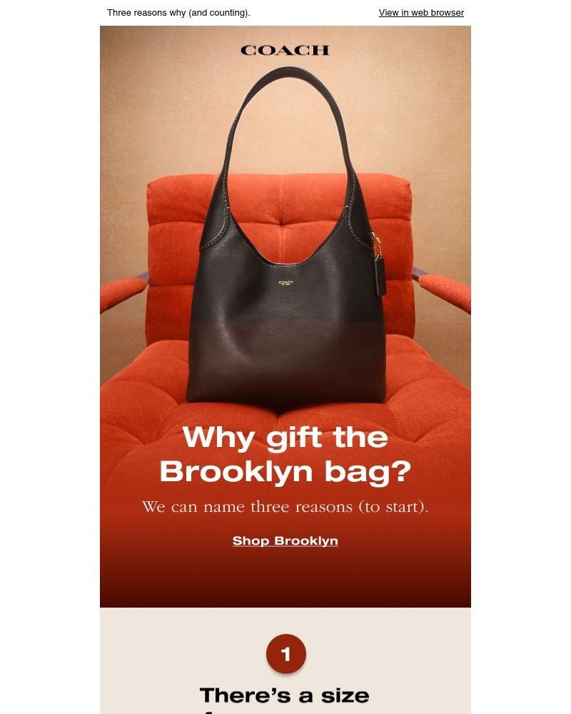 Screenshot of email with subject /media/emails/brooklyn-the-most-giftable-carryall-f721cc-cropped-1de4c79e.jpg
