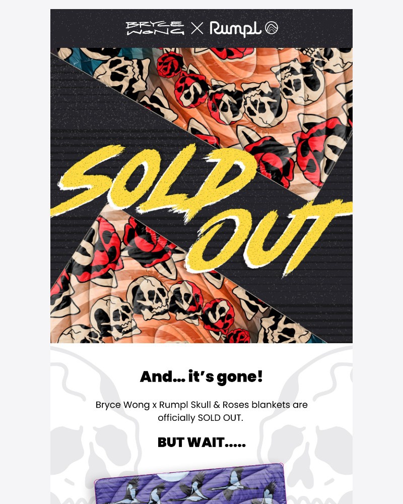 Screenshot of email with subject /media/emails/bryce-wong-x-rumpl-skull-roses-sold-out-6c55e8-cropped-04a7f606.jpg