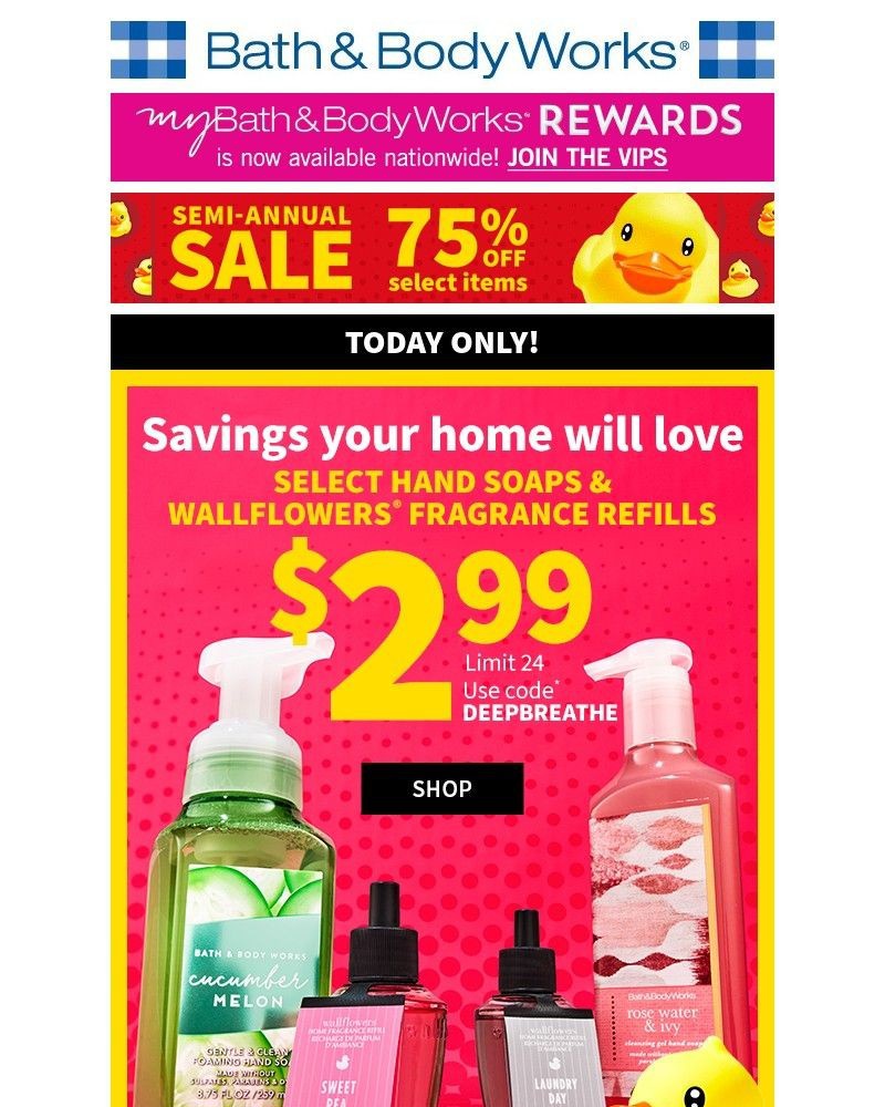 Screenshot of email with subject /media/emails/bubbles-blooms-for-299today-only-74d045-cropped-aac70383.jpg