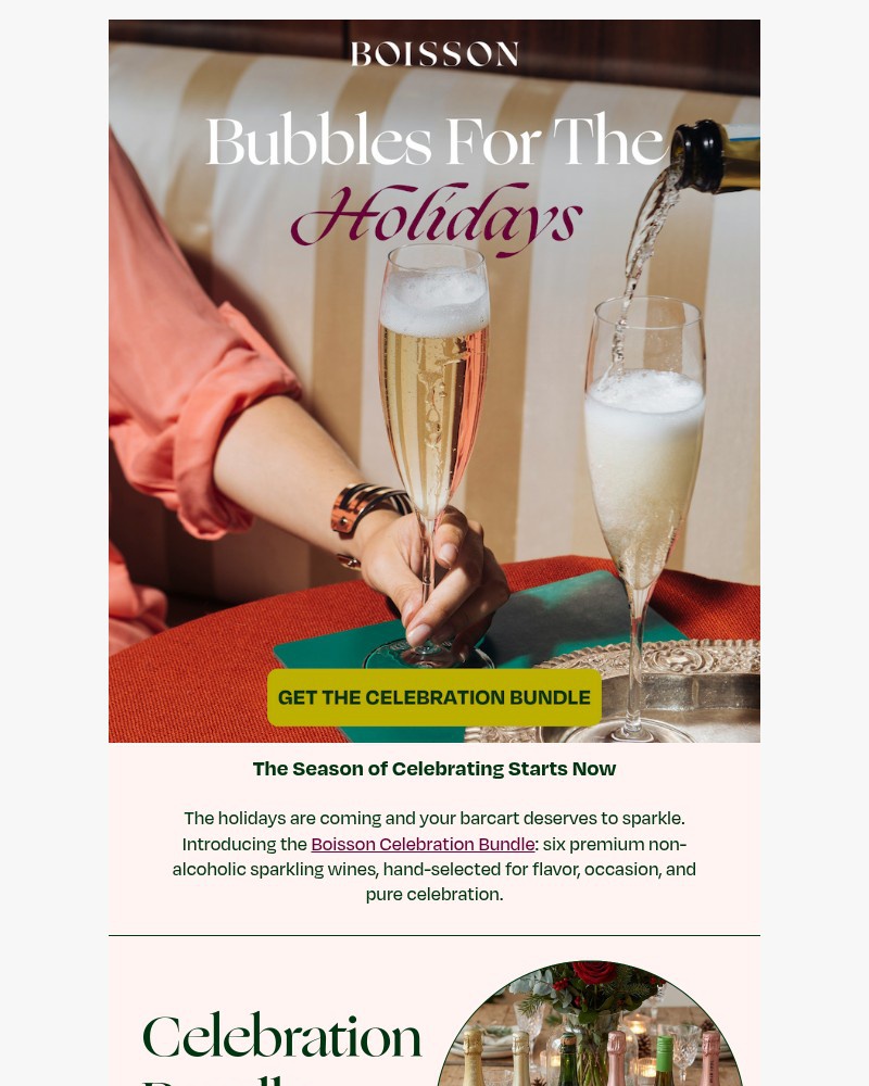 Screenshot of email with subject /media/emails/bubbles-for-the-holidays-f93f1c-cropped-ae22dbc9.jpg