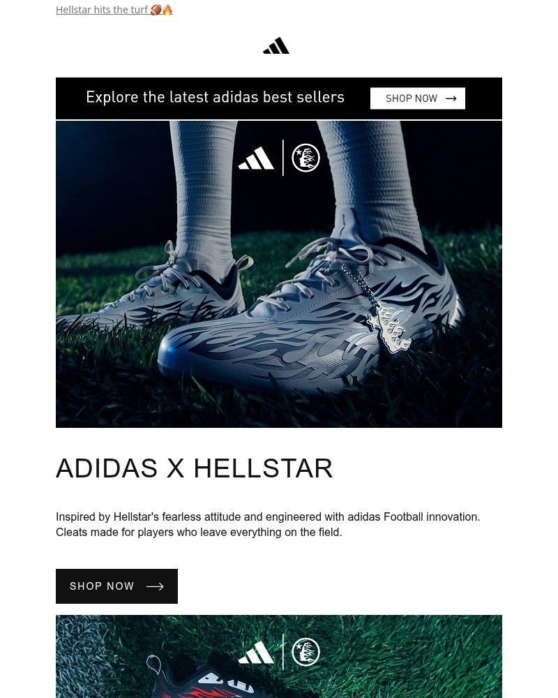 Screenshot of email sent to a Adidas Newsletter subscriber