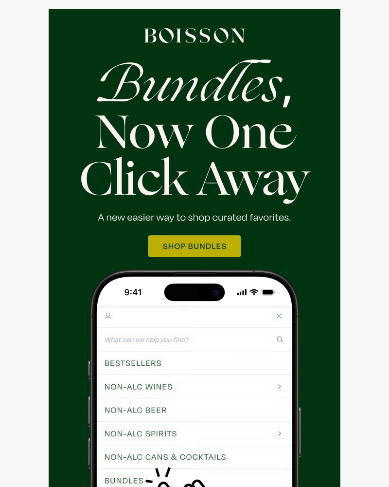 Screenshot of email with subject /media/emails/bundles-bundles-bundles-3545e7-cropped-e8eeb9ee.jpg